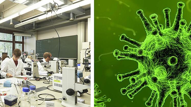 Erlanger Forscher zu "Impfversagern": Bestimmte Gruppe hat zu wenig Corona-Antikörper