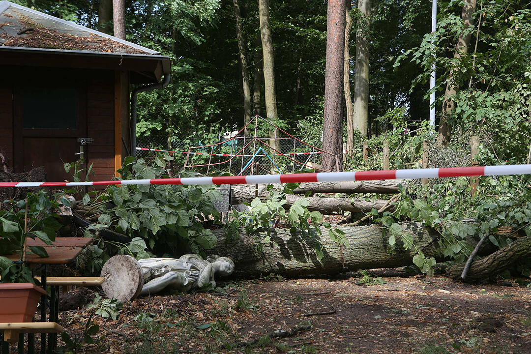 Aufraeumarbeiten in Bamberg nach schwerem Unwetter