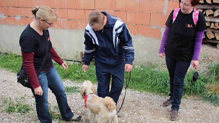 Max traut sich und  gibt Paula ein Leckerli.