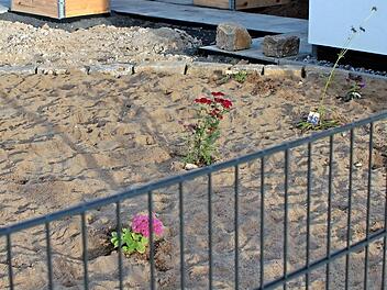 Auf dem Sandbeet wachsen tatsächlich schon die Blumen.  Fotos: Günther Geiling