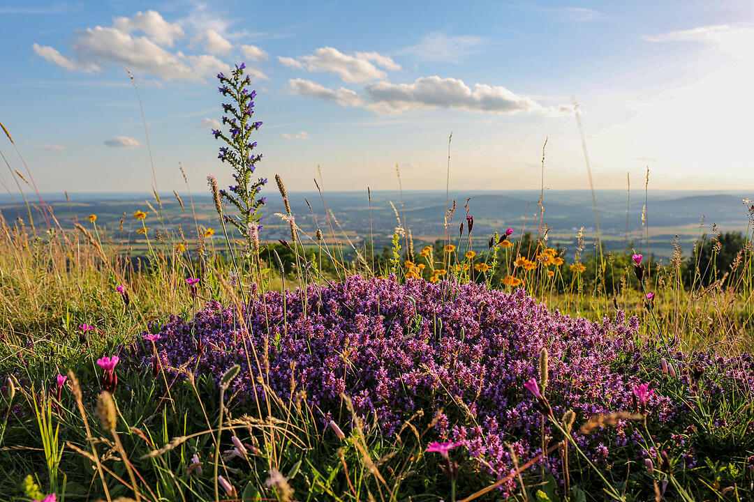 Herrliches Wandergebiet im Bamberger Umland