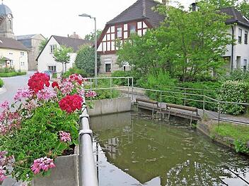 Da ist noch Luft nach oben: Der Dorfteich in Lahm soll zum Abschluss des Dorferneuerungsverfahrens neu gestaltet werden - unter anderem mit einem neuen Geländer und der Möglichkeit, die Wasserfläche leichter zu erreichen. 300 Kubikmeter Löschwasser für Einsätze der Feuerwehr verbleiben aber immer noch im Teich. Foto: Berthold Köhler