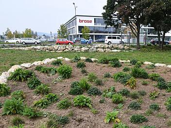 Die Grünfläche an  der Memmelsdorfer Straße wurde im Zuge des Neubaus von  Brose  neu gestaltet. Foto: Ronald Rinklef