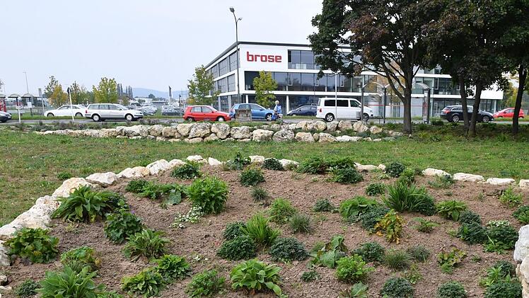 Die Grünfläche an  der Memmelsdorfer Straße wurde im Zuge des Neubaus von  Brose  neu gestaltet. Foto: Ronald Rinklef