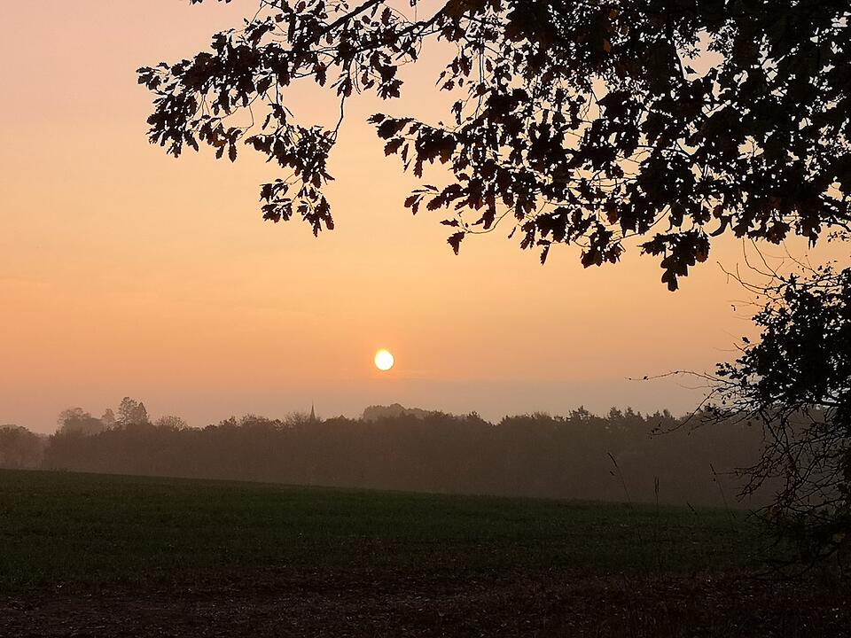 Die schönsten Herbstfotos aus Coburg und Umgebung