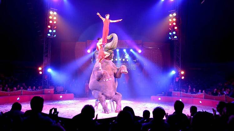 Ricardo Errani mit seinen Elefanten.  Foto: Peter Rauch