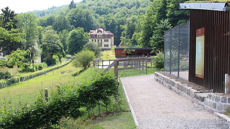 Neu gestaltet: das Tiergehege wurde zum Streichelzoo umgebaut und verschönert. Foto: Julia Raab