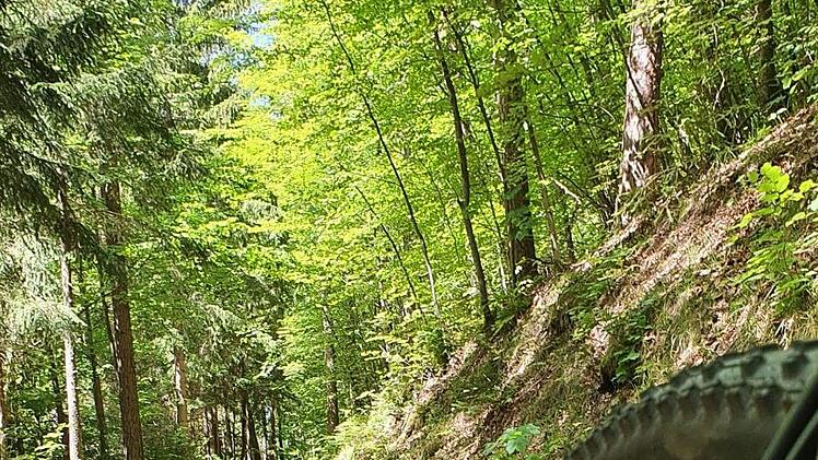 Die steile Bergetappe von Behringersmühle hoch nach Kohlstein Foto: Ronald Heck