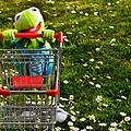 Einkaufswagen klauen: Ist das strafbar?