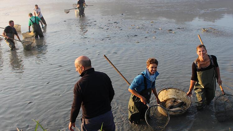Die Ex-Karpfenköniginnen Katrin Uano (l.) und Nina Hock beim Abfischen im Scheubelweiher am Samstagmorgen. Foto: Evi Seeger