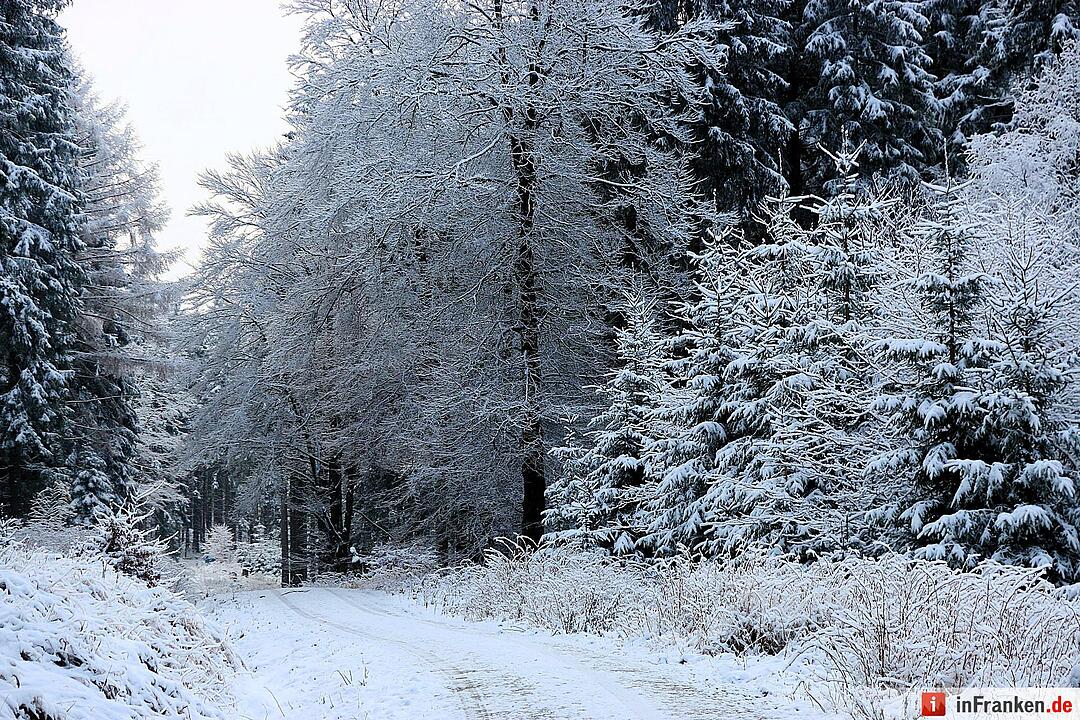 Schnee im Fichtelgebirge