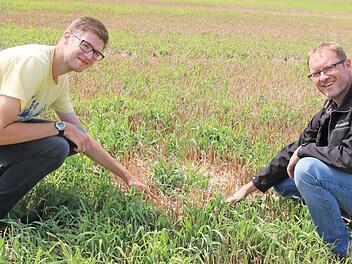 Matthias Franz (links) und Volker Schmitt zeigen auf den Bereich, in dem ein Wiesenweihen-Paar sein Nest hatte. Foto: Heike Beudert