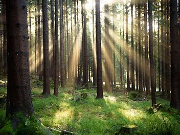 Europäischer Umweltbericht veröffentlicht