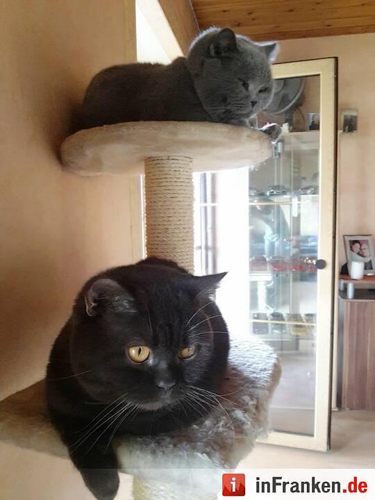 Foto: Jenny Rauscher