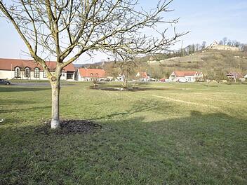 Diese Fläche am Lauerbach wurde bei der Bauleitplanung für Wohnbauflächen bisher 50 Jahre lang immer ausgeklammert, weil der Wunsch nach der Ansiedlung einer größeren Wohnanlage nicht aufgegeben wurde. Jetzt könnte dieser Standort zum Zug kommen.  Fotos: Gerold Snater
