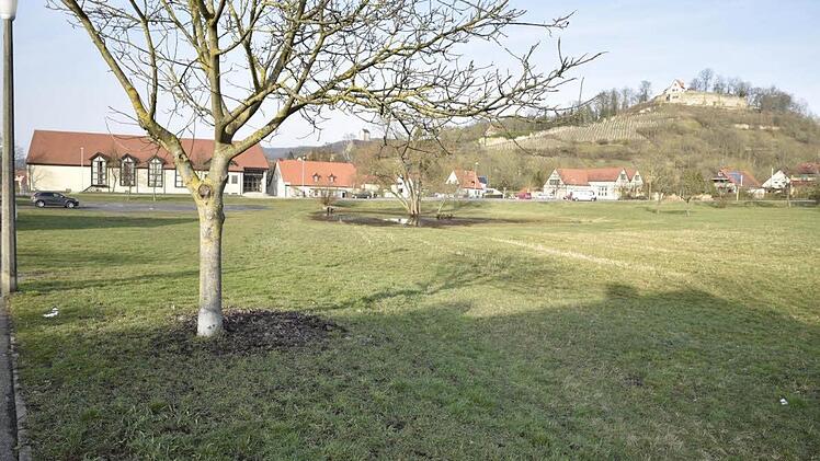 Diese Fläche am Lauerbach wurde bei der Bauleitplanung für Wohnbauflächen bisher 50 Jahre lang immer ausgeklammert, weil der Wunsch nach der Ansiedlung einer größeren Wohnanlage nicht aufgegeben wurde. Jetzt könnte dieser Standort zum Zug kommen.  Fotos: Gerold Snater