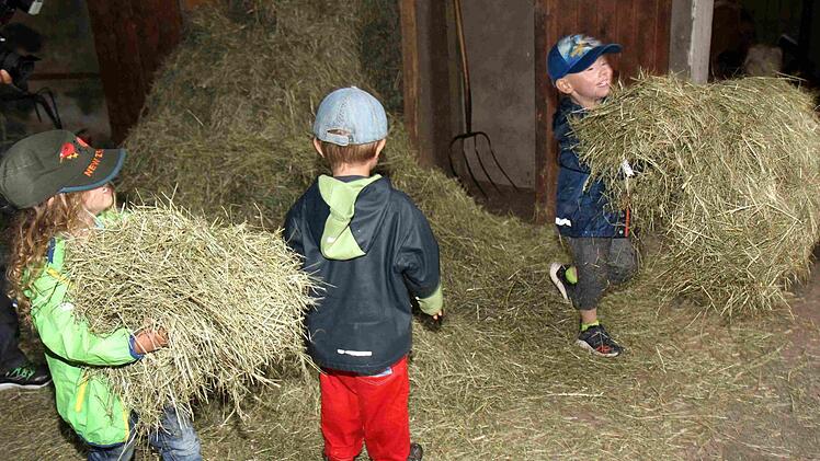 Foto: Richard Sänger