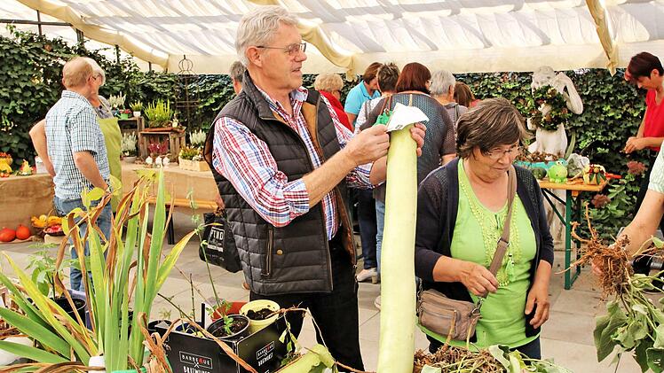 Ein großes Angebot gab es bei der Pflanzenbörse des Münnerstädter Obst- und Gartenbauvereins.  Foto: D. Britz