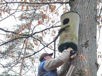 Reinhold Feil bringt einen Nistkasten für den Waldkauz an. Der Vogel des Jahres 2017 soll im Ruheforst eine Heimat finden. Foto: Rainer Lutz