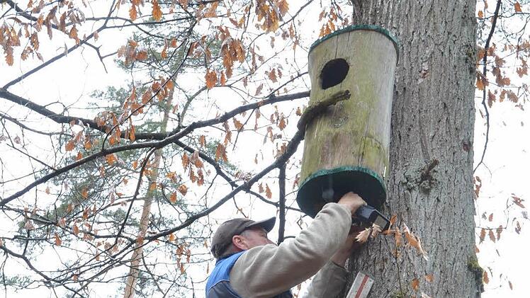 Reinhold Feil bringt einen Nistkasten für den Waldkauz an. Der Vogel des Jahres 2017 soll im Ruheforst eine Heimat finden. Foto: Rainer Lutz