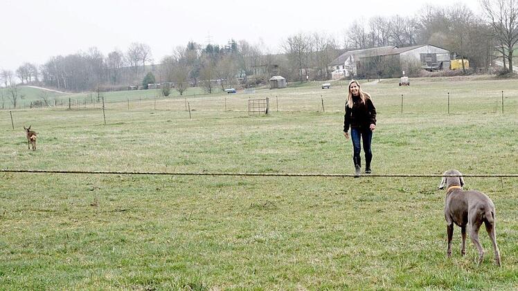 Foto: Sarah Seewald