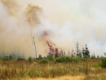 Waldbrand in Belgien