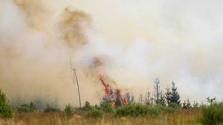 Waldbrand in Belgien