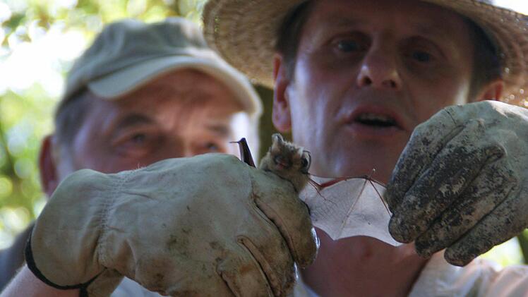 Auch die filigranen Fledermausflügel zeigte Jürgen Thein den Teilnehmern. Fotos: Sabine Weinbeer