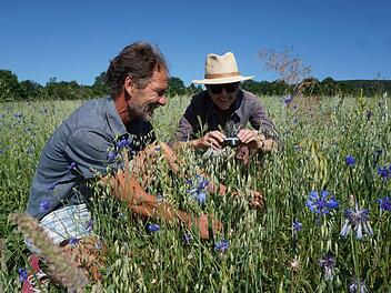 Michael Krämer (Untere Naturschutzbehörde) und Theresia Dietz (Amt für  Ernährung, Landwirtschaft und Forsten, Bad Neustadt) freuen sich über  die Vielfalt an Ackerwildkräutern in der Nähe von Unterweißenbrunn.  Marion Eckert