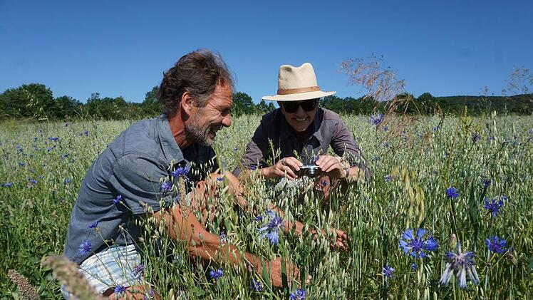 Michael Krämer (Untere Naturschutzbehörde) und Theresia Dietz (Amt für  Ernährung, Landwirtschaft und Forsten, Bad Neustadt) freuen sich über  die Vielfalt an Ackerwildkräutern in der Nähe von Unterweißenbrunn.  Marion Eckert