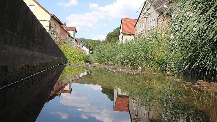 Die Altach in Zeil liegt flach in ihrem Bett, erhöhte Stellen des Grundes liegen trocken.