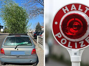 Mann fährt meterhohen Bambus mit Twingo durch die Gegend - und bekommt Polizeieskorte