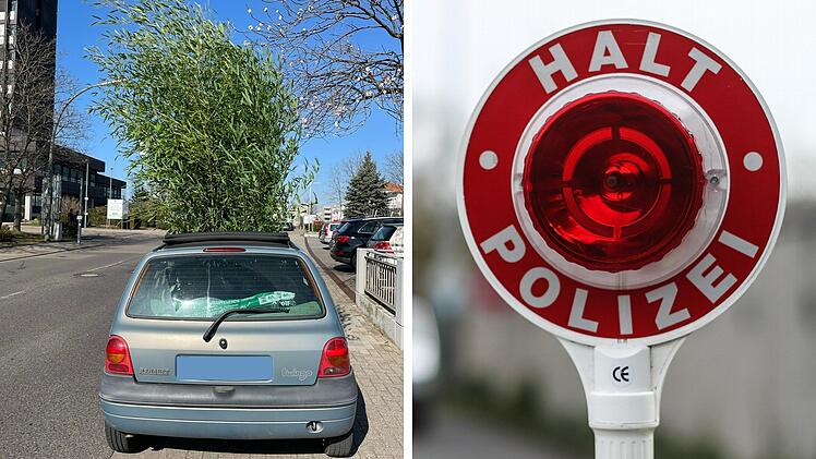 Mann fährt meterhohen Bambus mit Twingo durch die Gegend - und bekommt Polizeieskorte