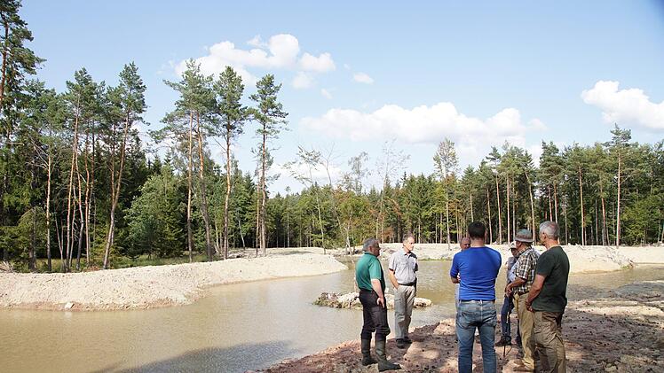 Arnulf Schöberl (Zweiter von links) zeigt Forstleuten und Vertretern vom Bund Naturschutz Bad Kissingen die neuen Teiche.Foto: Arkadius Guzy