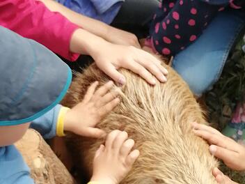 Die erste Veranstaltung rund um den Biber auf dem Erlebnisbauernhof Wagenbrenner in Oberthulba fand großen Anklang bei den Gästen.