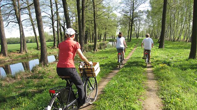 Nach dem Halbmarathon am Vortag lie&szlig;en Jochen Brosig und die Baiersdorfer Krenl&auml;ufer das verl&auml;ngerte Wochenende mit einer entspannten Radtour durch den Spreewald ausklingen.  Fotos: Jochen Brosig