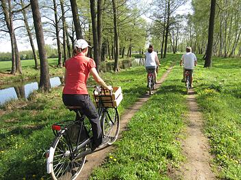 Nach dem Halbmarathon am Vortag ließen Jochen Brosig und die Baiersdorfer Krenläufer das verlängerte Wochenende mit einer entspannten Radtour durch den Spreewald ausklingen.  Fotos: Jochen Brosig