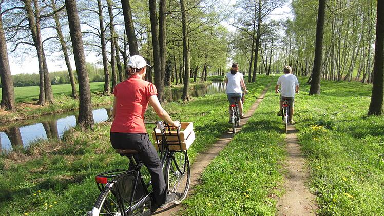 Nach dem Halbmarathon am Vortag ließen Jochen Brosig und die Baiersdorfer Krenläufer das verlängerte Wochenende mit einer entspannten Radtour durch den Spreewald ausklingen.  Fotos: Jochen Brosig