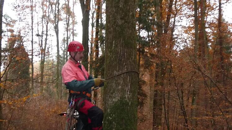 Bau eines Kunsthorstes im Stralsbacher Wald. Foto: Joachim Dahmer
