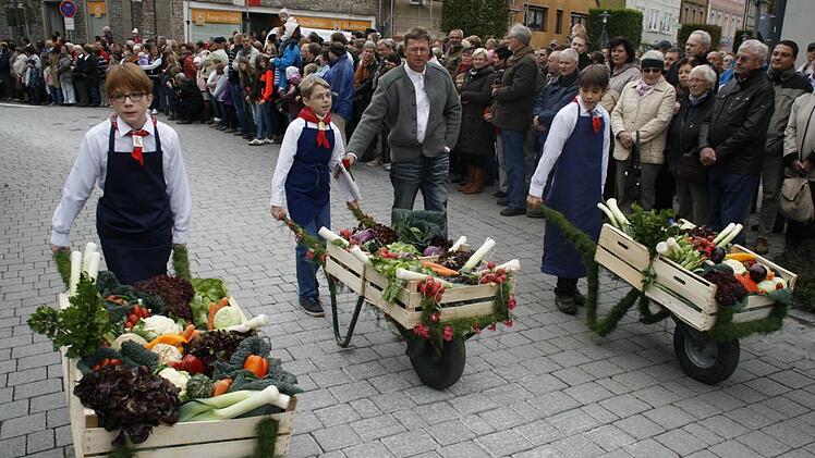 Junges Gemüse bringt frisches Gemüse.