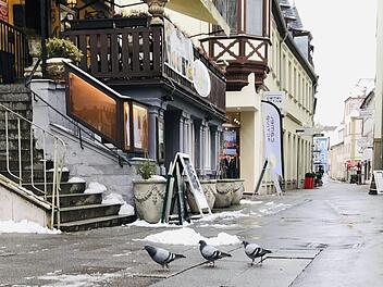 Verwilderte Haustauben suchen in der Fußgängerzone  in Bad Kissingen nach Futter.Anja Vorndran