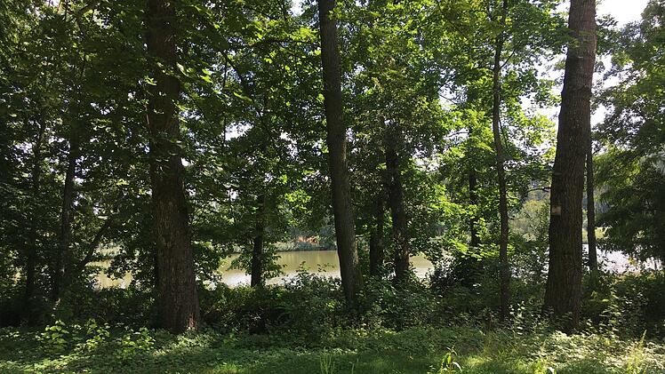 Der Trabelsdorfer Schlosspark hat viel zu bieten.Foto: Schreiber