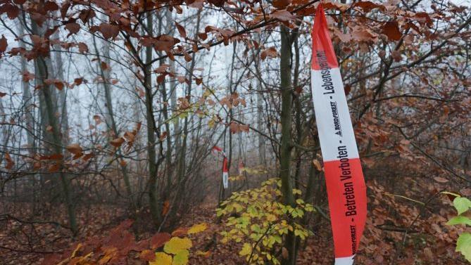 Übung, um für Fälle von Afrikanischer Schweinepest (ASP) gerüstet zu  sein. Foto: Marion Eckert