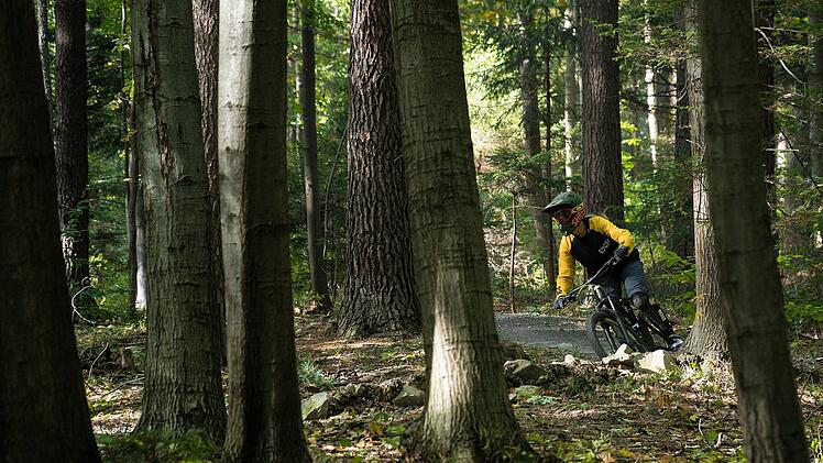 Der Hirschenstein ist bei Mountainbikern sehr beliebt.