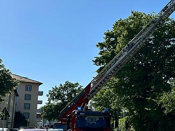 Feuerwehreinsatz in Bamberg - "Baum in bedrohlicher Schieflage"