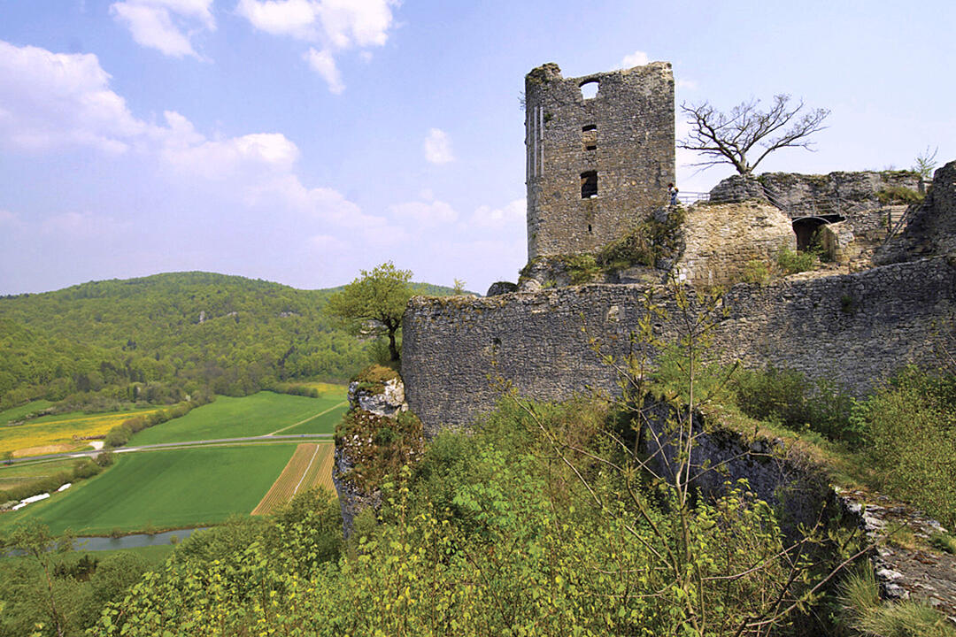 Burgruine Neideck