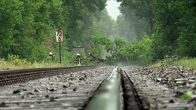 Niedersachsen, Osnabr&uuml;ck: Einsatzkr&auml;fte der Feuerwehr entfernen umgest&uuml;rzte B&auml;ume von Bahngleisen. Ein heftiges Unwetter hat f&uuml;r eine Sperrung der Bahnstrecke zwischen Osnabr&uuml;ck und Oldenburg gesorgt. Foto: -/Nord-West-Media TV/dpa