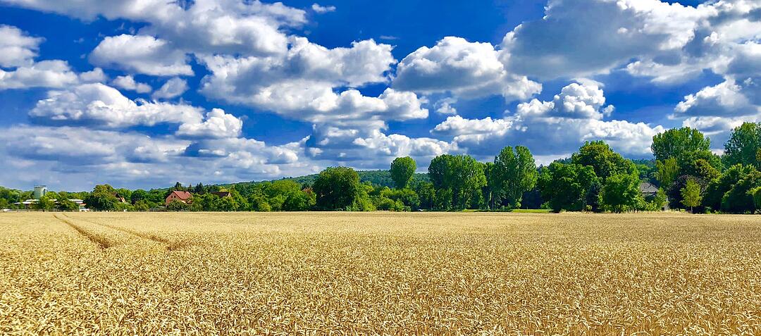 Die schönsten Sommerfotos aus Bamberg und Umgebung
