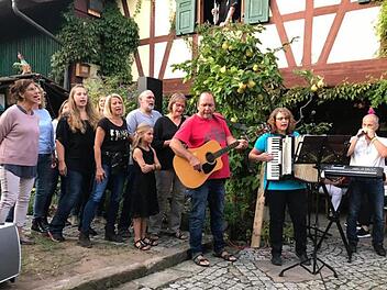 Zahlreiche Musikgruppen traten beim Benefizkonzert für Jürgen Zimmermann im Stockmannshof in Fuchsstadt auf.Beate Stockmann