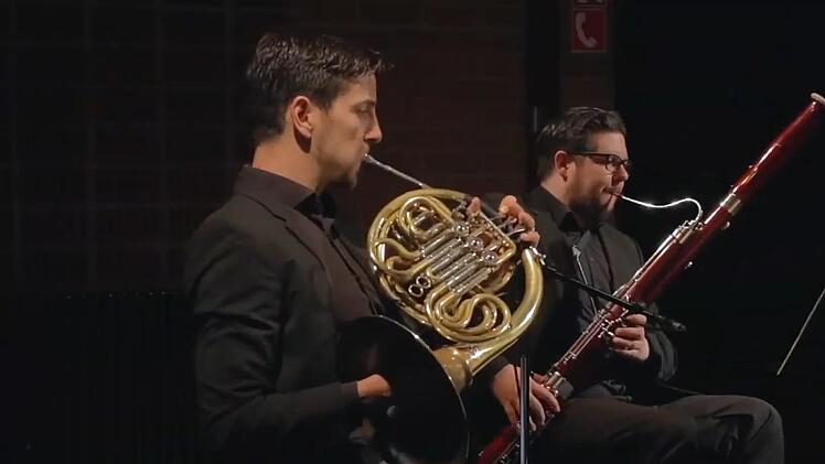 Musiker des Philharmonischen Orchesters gestalten die neue Folge von "Klassik am Sonntag".Screenshot: Landestheater Coburg